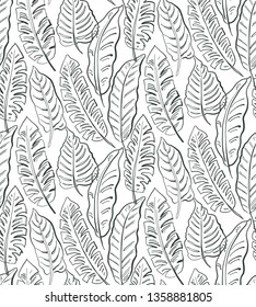 Beautiful seamless pattern with ropical jungle palm, banana leaves. Black and white nature floral endless background