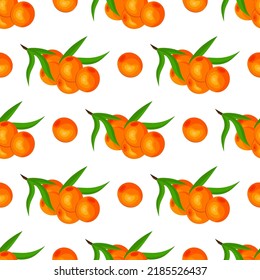 Beautiful seamless pattern with sea buckthorn berries. Vector illustration. Template for the design. Texture, wallpaper.