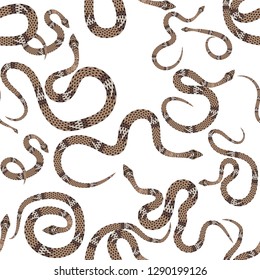 Vektor Stok Snake Set Pattern (Tanpa Royalti) 673528648 | Shutterstock