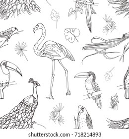 Beautiful seamless pattern with tropical birds and exotic leaves hand drawn with contour lines on white background. Monochrome vector illustration for wallpaper, fabric print, wrapping paper.