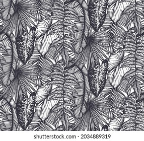 Beautiful seamless pattern with tropical jungle palm, monstera, banana leaves. Black and white nature floral endless background