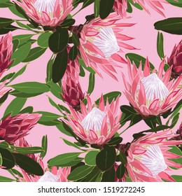 Beautiful seamless pattern of Tropical protea flowers, jungle leaves, exotic print.