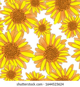Schönes, nahtloses Muster mit gelben Sonnenblumen auf weißem Hintergrund. Nahtlose Vektorillustration. Dekorative Blumengrafik. Wiesenblüte. Blumenblume. Designelement wiederholen