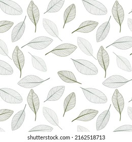 Hermosos patrones sin costura con fondo de patrón de hojas de color verde oliva. Ilustración del vector 