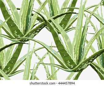 Beautiful seamless vector floral pattern background with aloe vera. Abstract geometric texture. Perfect for wallpapers, web page backgrounds, surface textures, textile