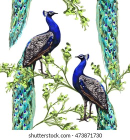 Beautiful seamless vector floral pattern background with peacock, flowers. Abstract geometric texture, calendar