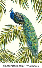 Beautiful seamless vector floral pattern background with peacock, hibiscus and palm leaves. 
