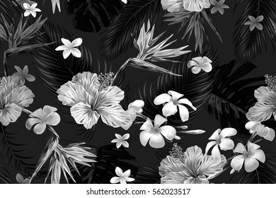 Beautiful seamless vector floral pattern with tropical flowers, palm leaves, jungle leaf, hibiscus, bird of paradise flower. Black and white wallpaper. Tropic monochrome background
