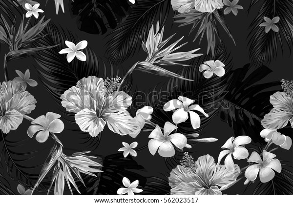 熱帯の花 ヤシの葉 ジャングルの葉 ハイビスカス 極楽の花の鳥を描いた美しいシームレスなベクター画像花柄 白黒の壁紙 熱帯の白黒の背景 のベクター画像素材 ロイヤリティフリー