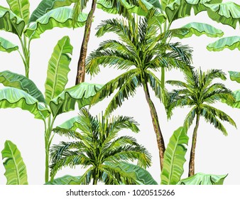 140,045 Banana palm tree Images, Stock Photos & Vectors | Shutterstock