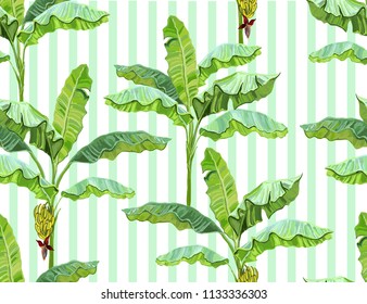 Beautiful seamless vector floral summer pattern with banana palms, leaves and bananas, stripes.  Perfect for wallpapers, web page backgrounds, surface textures, textile. 