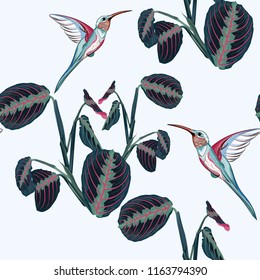 Beautiful seamless vector floral summer pattern background with hummingbird and tropical exotic plants. Perfect for wallpapers, web page backgrounds, surface textures, textile.