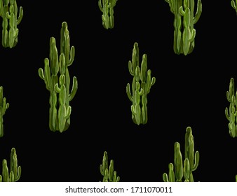 Beautiful seamless vector floral summer tropical pattern background with cactuses, succulents. Perfect for wallpapers, web page backgrounds, surface textures, textile. Isolated on black  background.