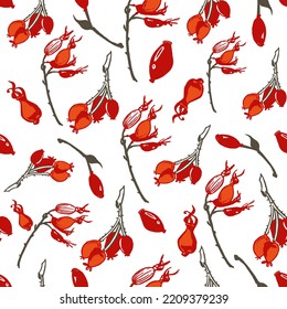 beautiful seamless vector pattern with rose hips.Wild rose berries hand drawn leaves for autumn mood and creativity