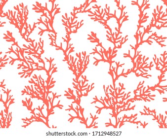 Beautiful seamless vector tropical pattern with corals. Perfect for wallpapers, web page backgrounds, surface textures, textile. Living coral seamless pattern