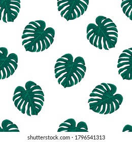 Beautiful seamless vector tropical pattern with monstera leaves on white background. Abstract summer texture
