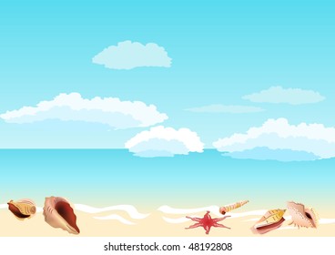 Beautiful seascape with shells
