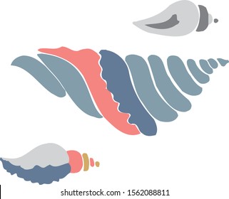 Beautiful seashell. Collection of shells.