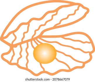 Beautiful seashell with pearl on white background