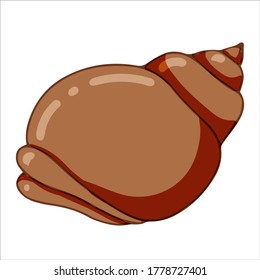 schöne MuschelVektorgrafik einzeln auf weißem Hintergrund