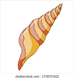 bella ilustración vectorial de la concha de mar aislada en fondo blanco