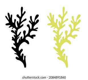 Beautiful seaweed or coral twig in silhouette black and light green for logo and design