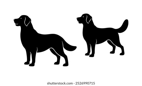 beautiful sequence of a golden retriever dog silhouette image