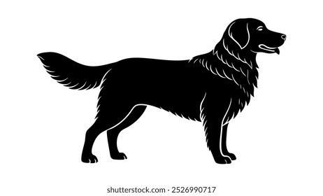 beautiful sequence of a golden retriever dog silhouette image