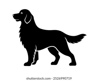 beautiful sequence of a golden retriever dog silhouette image