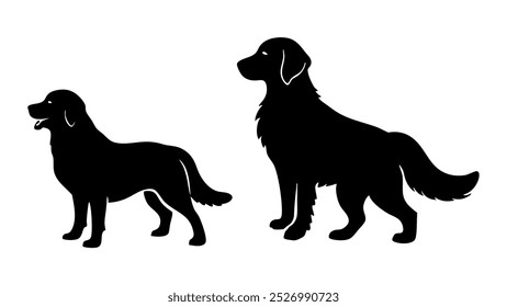 beautiful sequence of a golden retriever dog silhouette image