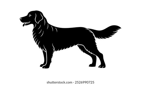 beautiful sequence of a golden retriever dog silhouette image