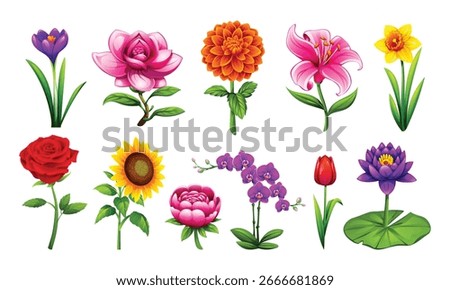 Beautiful set of blooming flowers including crocus, rose, sunflower, lily, tulip, and lotus. Vector cartoon illustration