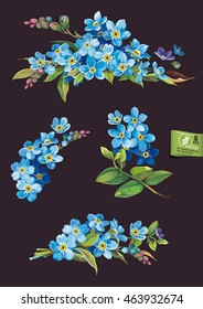 Beautiful set of blossoming Blue Forget-me-not flowers, eps8