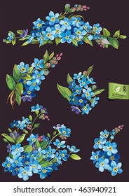 Beautiful set of blossoming Blue Forget-me-not flowers, eps8