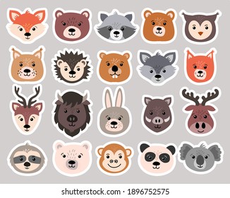 Beautiful set of child style woodland and exotic animals vector collection