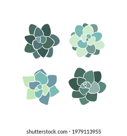 Beautiful set collection with green and lilac succulent cactus hand drawn top view for decoration design. Vector template. Isolated illustration