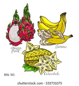 beautiful set of delicious exotic fruits. dragon fruit, carambola and bananas. hand-drawn illustration