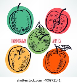 beautiful set of different beautiful apples. hand-drawn illustration