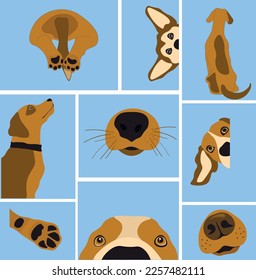 beautiful set of dogs for instagram shop or for pet shop posters
