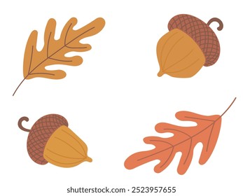Beautiful set of falling oak leaves and acorns in brown, yellow and orange colors isolated on white background. Hand drawn vector flat colored illustration. Botanical frame, icons, autumn design