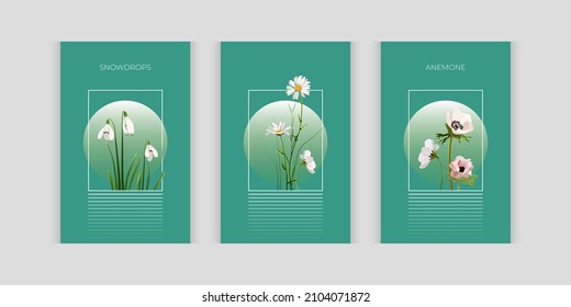 Beautiful set with floral elements. Nature art set for spring season concept, wedding invitation, or women gift. Design for packaging design, social media post, cover, banner.