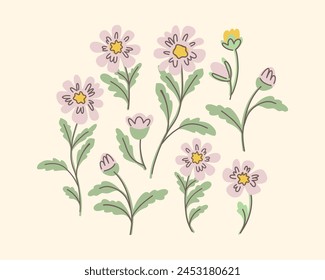 Beautiful set flower collection with anemones, cosmea, chamomile, leaves, flower compositions.