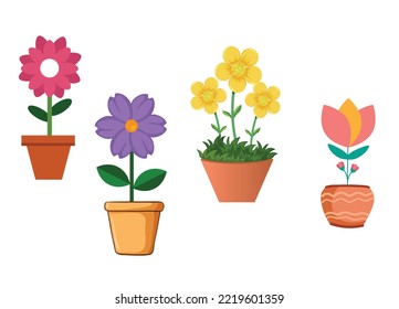 beautiful set of flowers in pot. many petals and beautiful eye catching  colors. pink purple yellow flower illustrations on white background