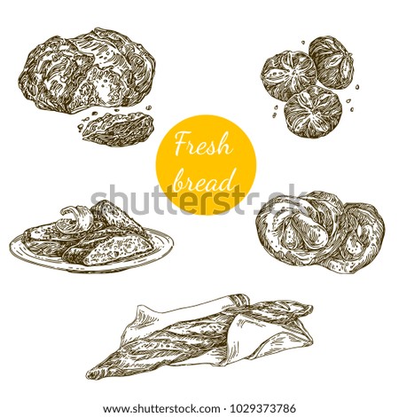 Beautiful set of fresh bread. Baguette, buns, rye bread. Engraving style. Vector illustration.