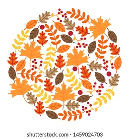 Beautiful set of hand drawn autumn leaves for card, banner, invitation, sale poster or flyer, seasonal background, vector illustration