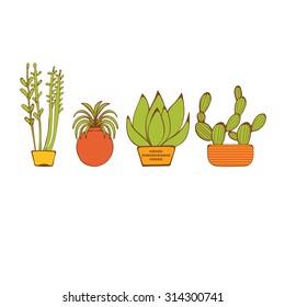 Beautiful set of hand drawn houseplants. vector illustration