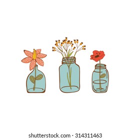 Beautiful set of hand drawn houseplants. vector illustration