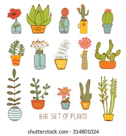 Beautiful set of hand drawn houseplants. vector illustration