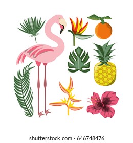 beautiful set icon with exotic flamingo and tropical elements
