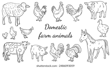 Hermoso conjunto de animales de granja realistas: cerdo, vaca, caballo, oveja, pollo, gallo, ganso, pavo, codorniz, pato en negro. Dibujado a mano ilustración de boceto de Vector en garabato grabado arte de línea vintage.